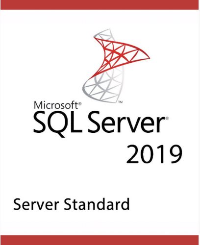 SQL Server 2019 STD 1 User