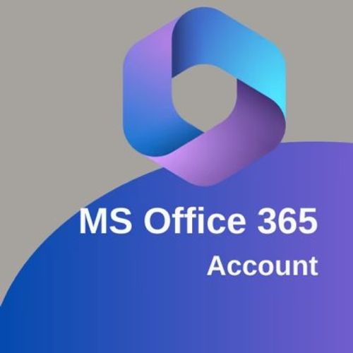 Office 365 Plus Account